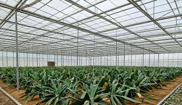 农资供应如何保障种植效率？性能与适用条件分析