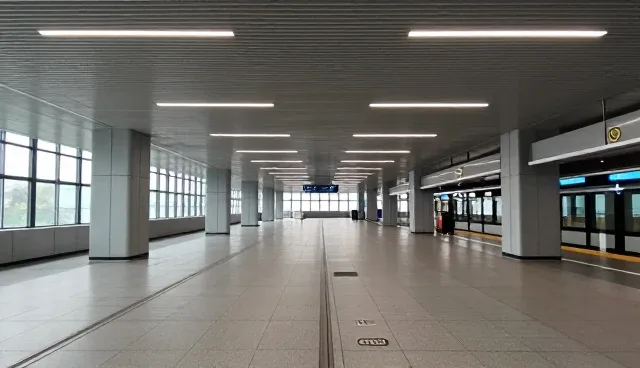 绿化养护中能力建设的常见误区与处理方法