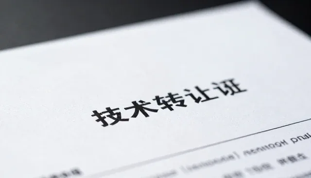 远程支持技术选型中如何权衡性能与成本