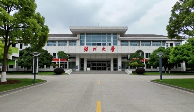 技术外包在企业运营中的性能表现与适用条件分析