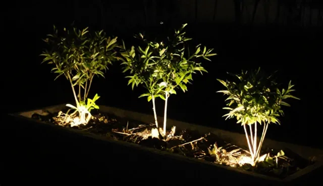 种植技术指导中选型误区如何避免