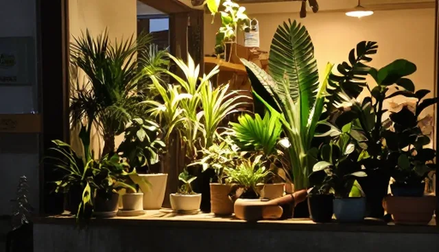 标准财税咨询在行业中的发展趋势与实践路径
