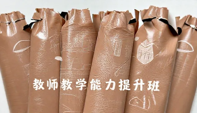 教师教学能力提升班：师资力量如何影响培训效果
