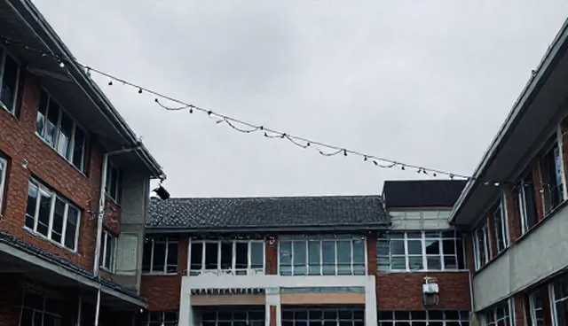 绿化养护业务中风险防控的实践与趋势