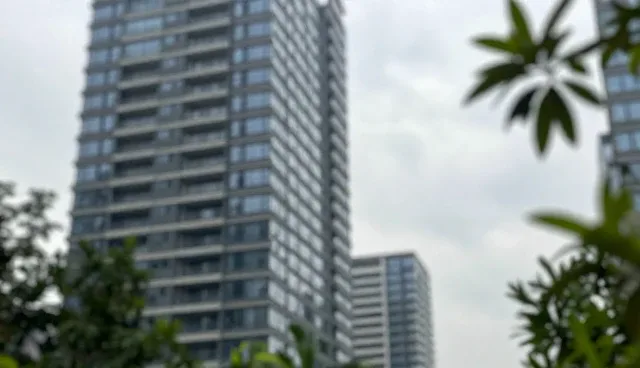 如何通过技术推广提升零售门店运营效率