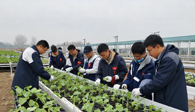 农业技术培训课程如何适应不同环境条件