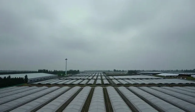 智能制造系统集成中的合作关系维护实践