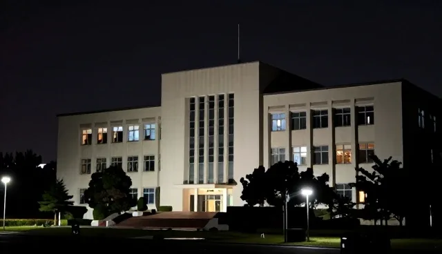 协同模式下装饰改装产品的性能指标与适用条件分析