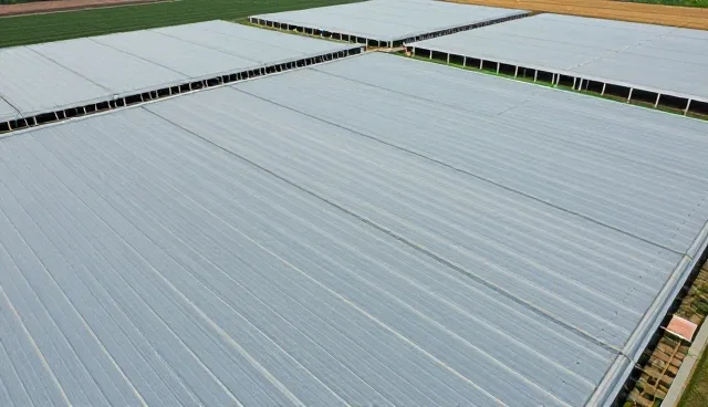 智能网站建设中技术团队选择的取舍与影响