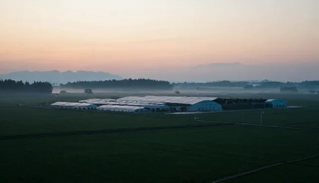 误区澄清：选型关注点不应仅聚焦产品功能