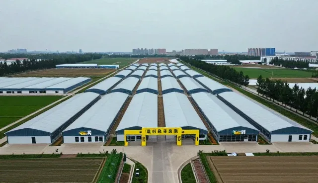 如何通过数据整合提升企业名录查询效率