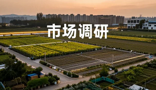 市场调研在行业趋势预测中的关键作用