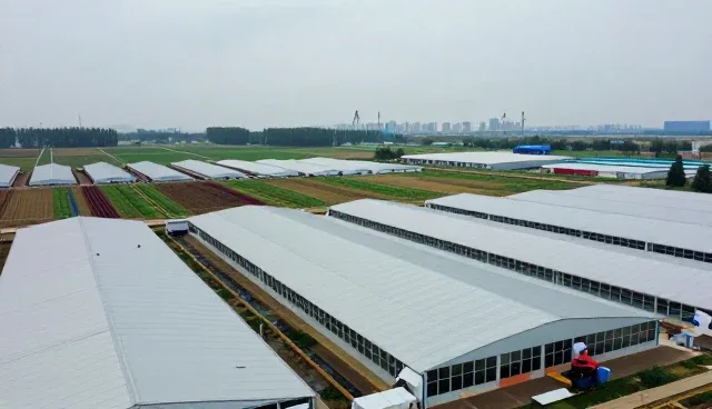 断桥铝门窗加工维护趋势下的行业实践