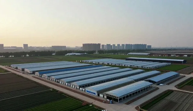 运维托管中数据处理平台建设的关键问题与应对策略