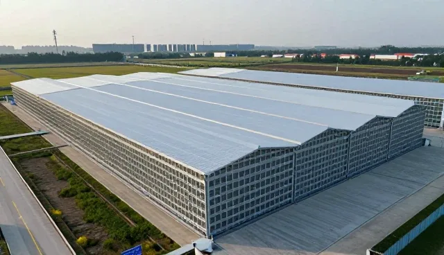 冷链物流中的防潮措施对禽类产品保鲜的关键作用