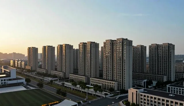 短视频代拍服务的性能表现与适用场景分析