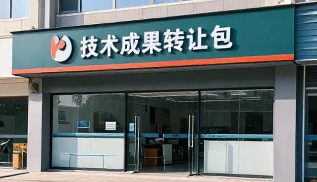 技术转让中的性能优化与适用场景分析