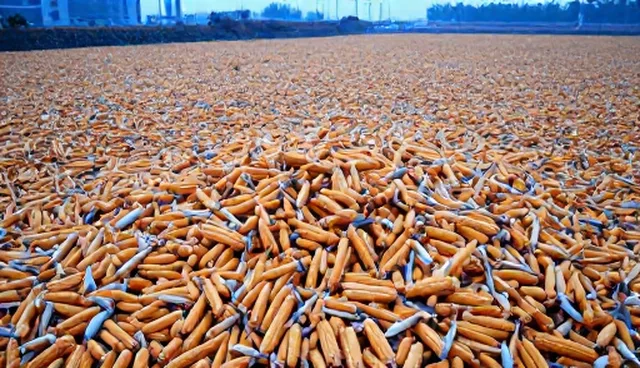 仓储保鲜技术性能差异如何影响适用场景