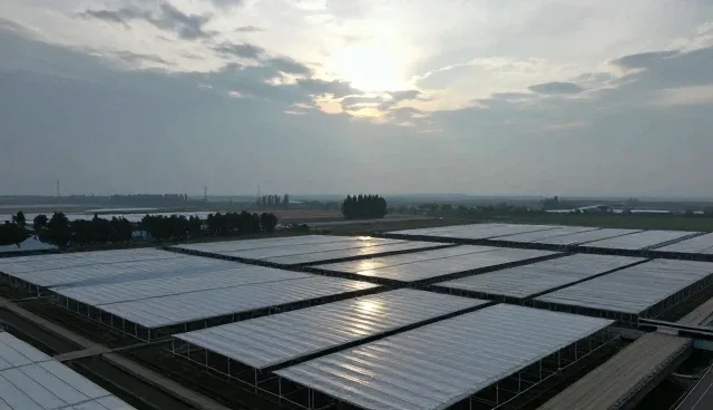 技术转让如何实现技术落地？