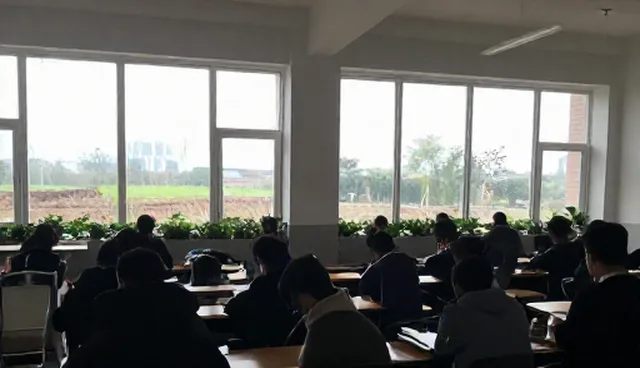 种植技术培训课程的检查要点与使用建议