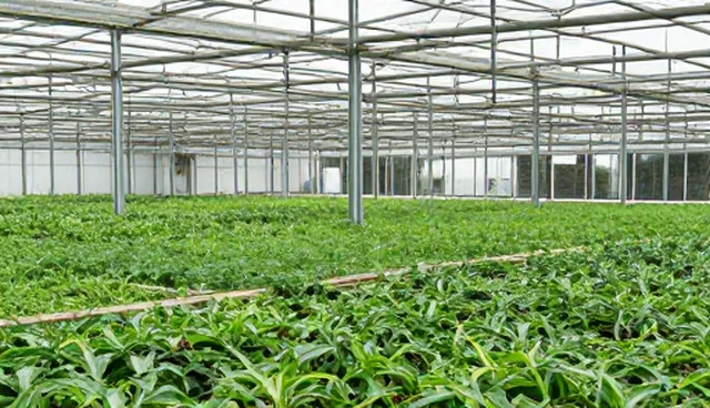 汽车改装性能提升的适用条件与场景分析