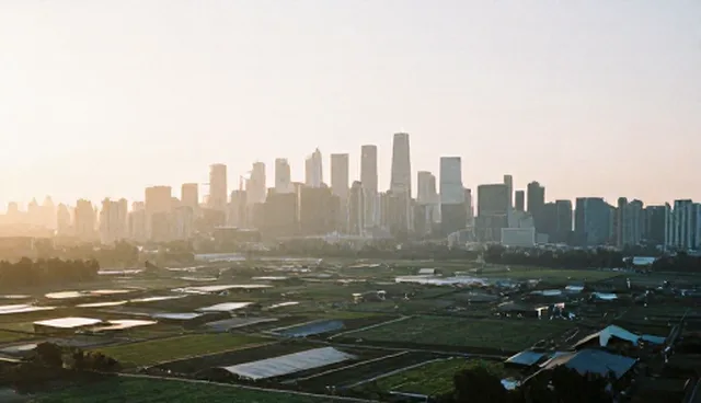 技术应用的性能表现与适用场景分析