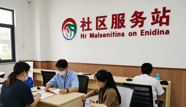 项目协作中技术服务的关键问题与应对策略