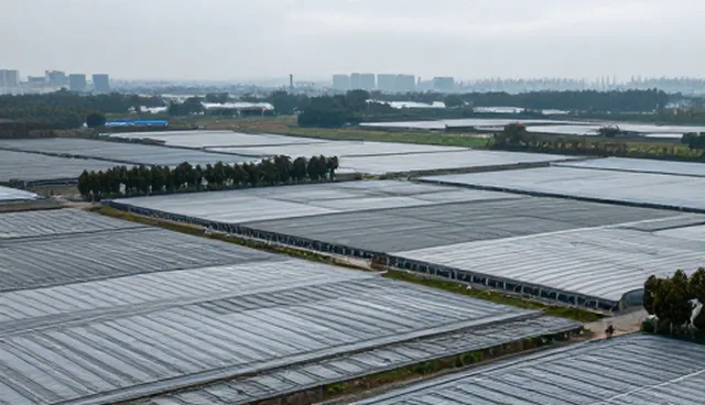 市政项目成本优化如何从材料采购延伸到现场施工