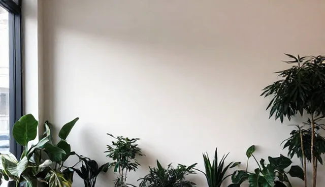 公众号开发如何注重成本控制
