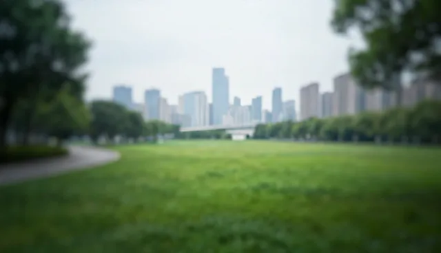 企业管理系统选型与使用中的技术培训建议
