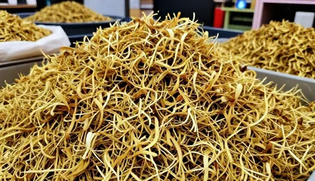 金银花干品储存适用边界：环境条件与存储策略
