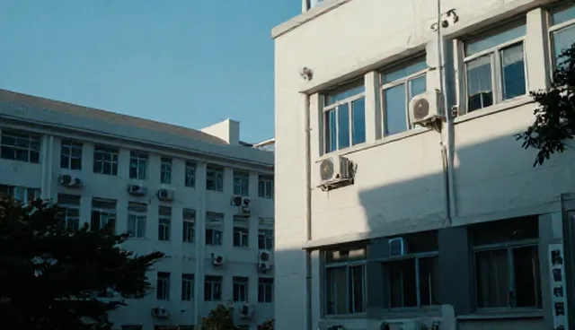 社交媒体推广套餐：使用场景分析与选型关注点