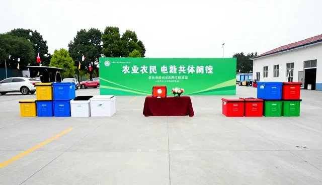 冷链配送中定制包装对生鲜产品保鲜效率的影响分析