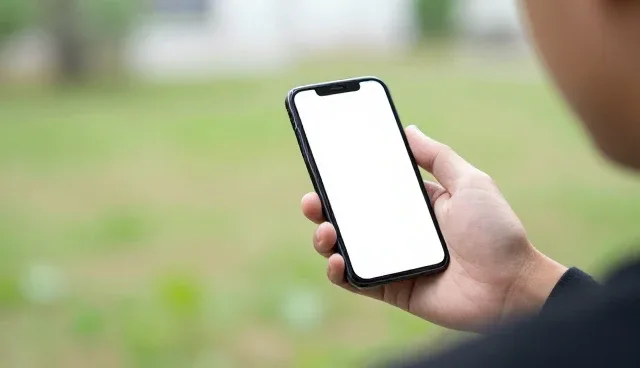 门票预订系统在会议接待中的实际应用与维护