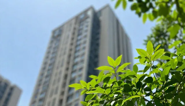 直播营销：内容分发服务的性能与适用条件分析