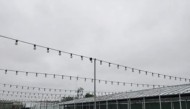 如何根据应用场景选择合适的交付质量方案
