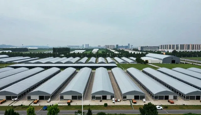 冷链配送中的操作规范如何影响食材供应效率