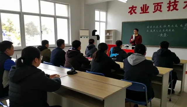 误区澄清：维护策略并非越全面越有效