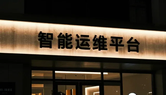 技术型业务运维服务选型中的关键考量要素