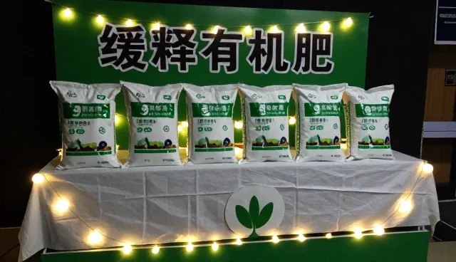 技术外包项目如何避免常见问题