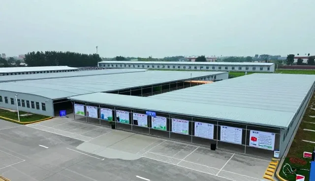 做网站的公司：如何通过品牌建设提升信息发布效率