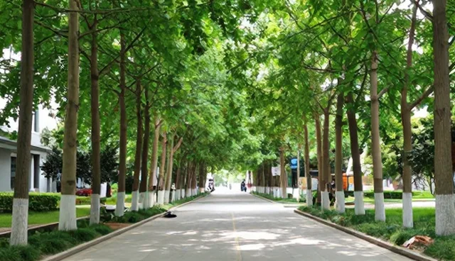软件研发在成果转化中的适用条件与实际场景分析