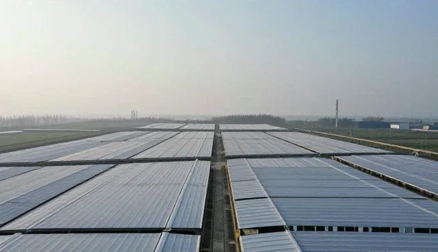 项目会务流程优化在实际场景中的应用分析