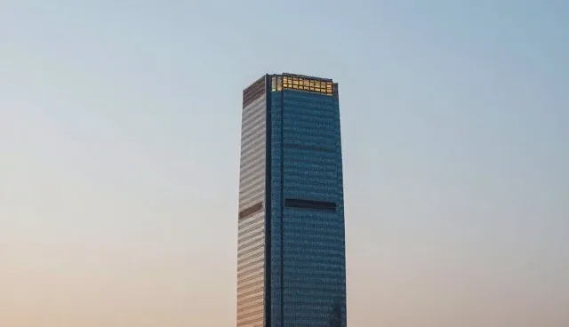 软件兼容性挑战下系统集成服务的技术咨询套餐发展趋势