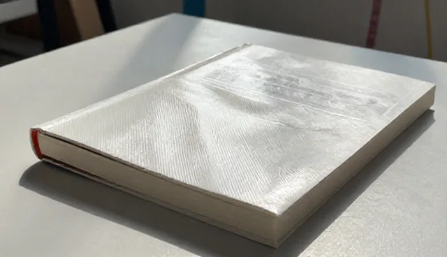 食品供应需求反馈的适用情况与限制分析