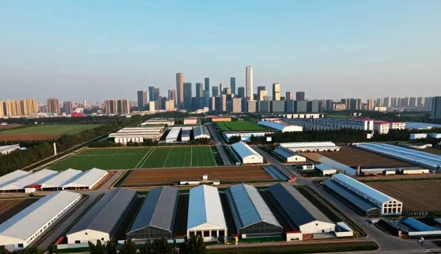 企业数据管理系统如何实现可扩展性与成本控制的平衡