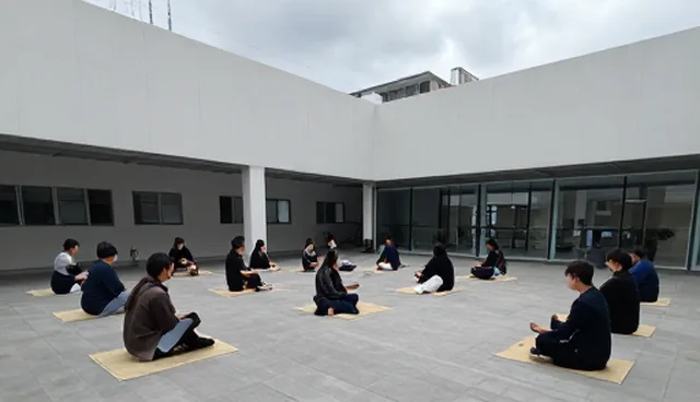 柚子皮可以去除甲醛吗？如何科学应对家居污染