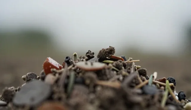 生鲜配送选型需关注的三大核心问题