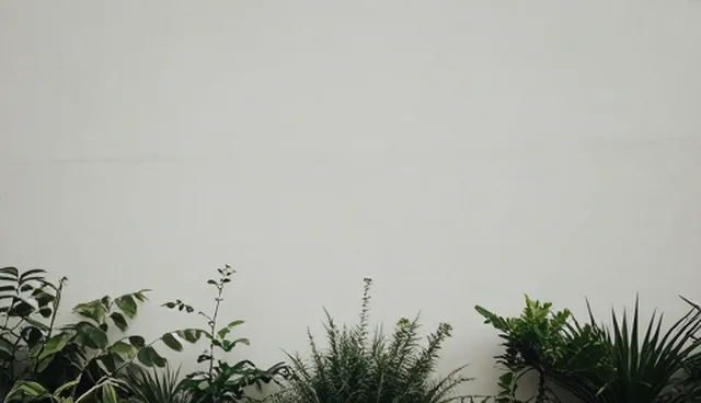 商务考察服务如何选择定制化方案