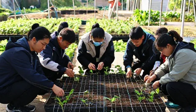 如何高效应对农业种植成本上升的挑战
